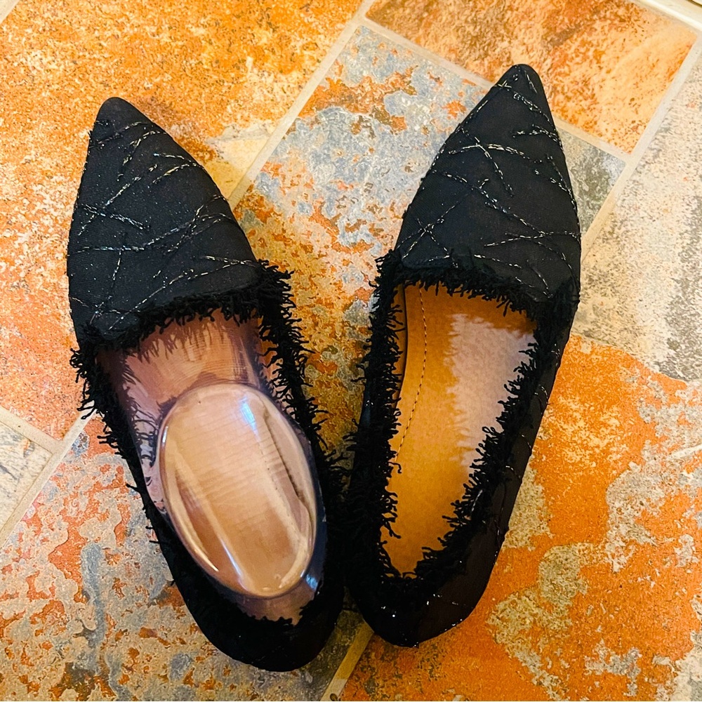 🖤NWOB! Fancy Pointed Toe Black with Silver Metallic Beading, Fringed Flat!